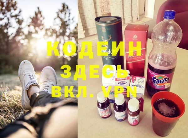 стаф Арсеньев
