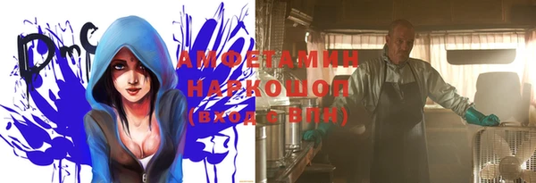 стаф Арсеньев
