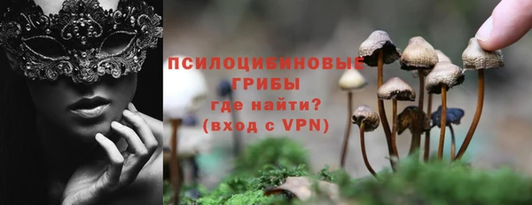 спиды Армянск