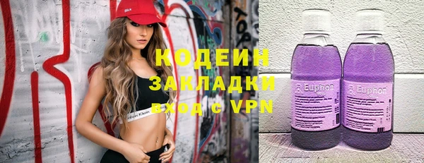 стаф Арсеньев