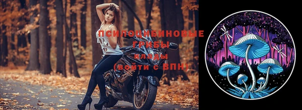 спиды Армянск