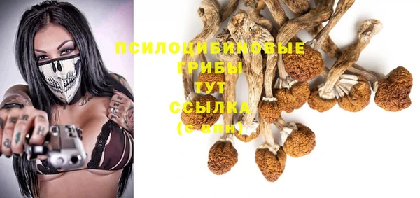 спиды Армянск