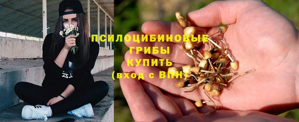 кристаллы Аркадак