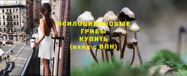 стаф Арсеньев