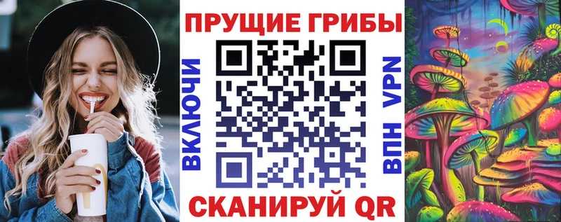 Псилоцибиновые грибы Psilocybine cubensis  Электросталь 