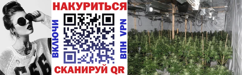 цена наркотик  Электросталь  Конопля White Widow 